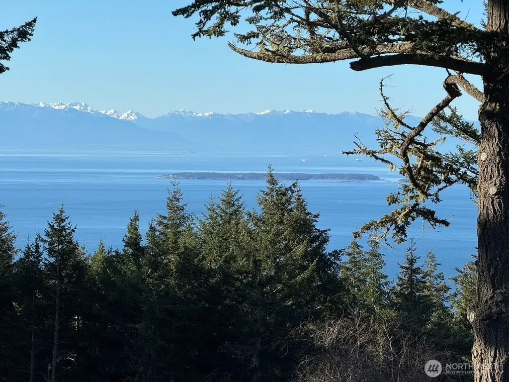 30 Rascal Road Friday Harbor WA 98250
