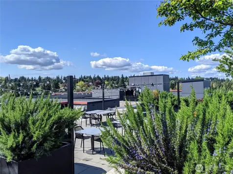 1085 103rd Avenue NE Bellevue WA 98004