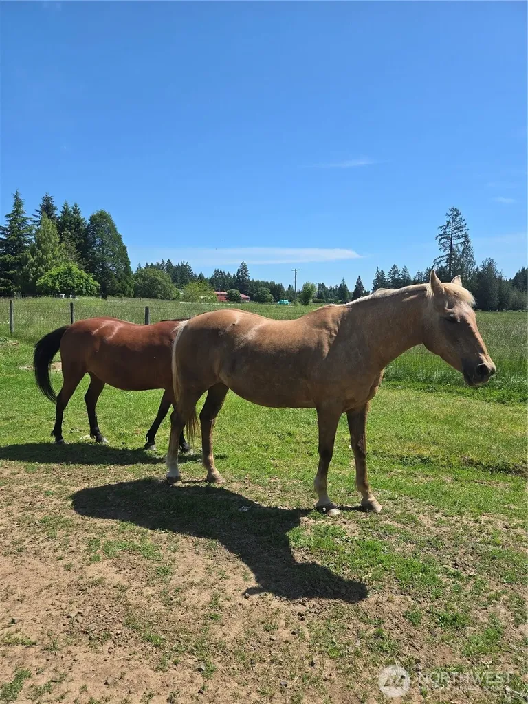 205 Nikula Road Winlock WA 98596