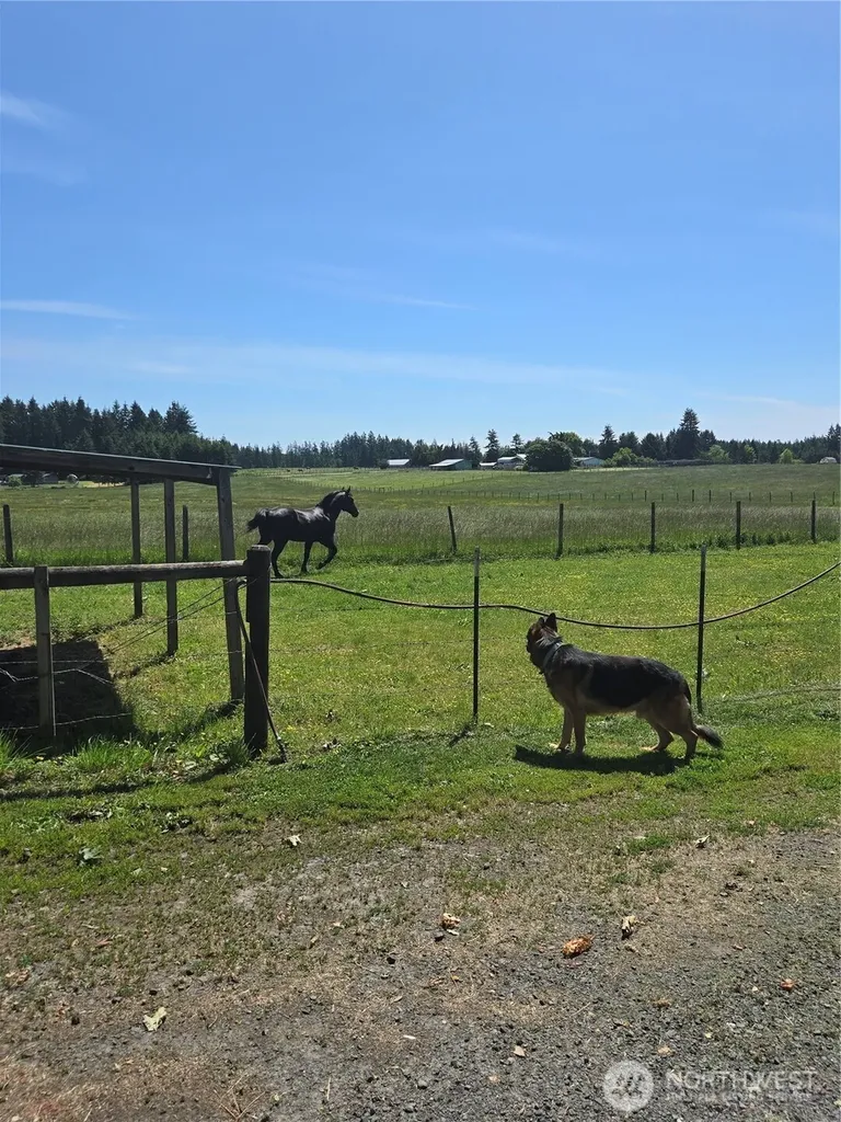 205 Nikula Road Winlock WA 98596