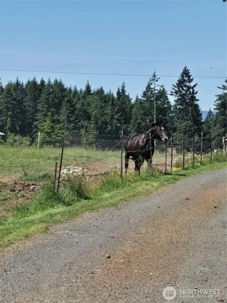 205 Nikula Road Winlock WA 98596