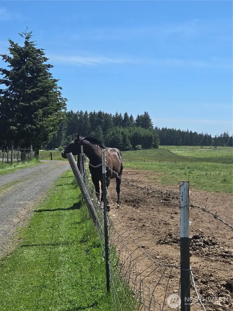 205 Nikula Road Winlock WA 98596