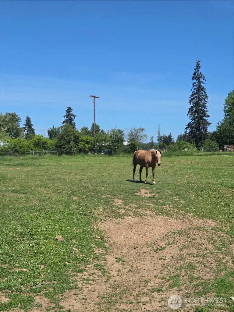 205 Nikula Road Winlock WA 98596