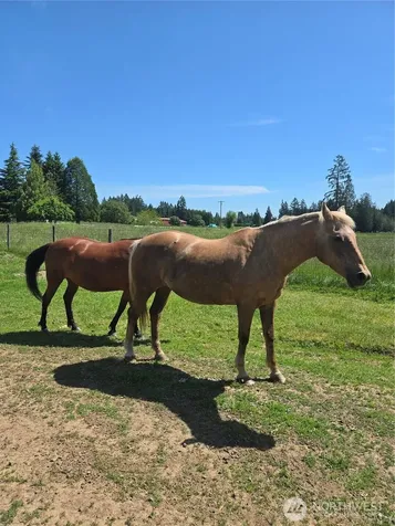 205 Nikula Road Winlock WA 98596