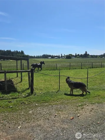 205 Nikula Road Winlock WA 98596