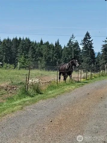 205 Nikula Road Winlock WA 98596