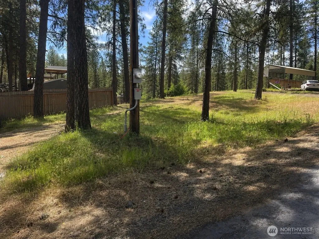 13901 S Clear Lake Road Cheney WA 99004