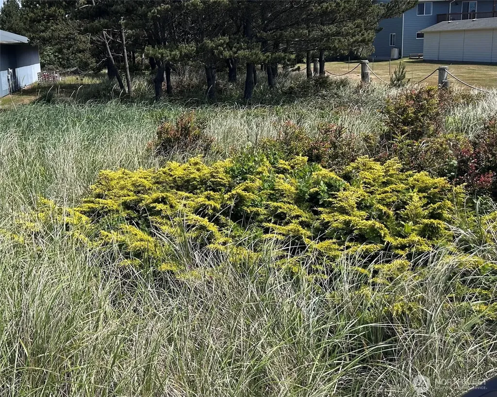 31617 G Street Ocean Park WA 98640
