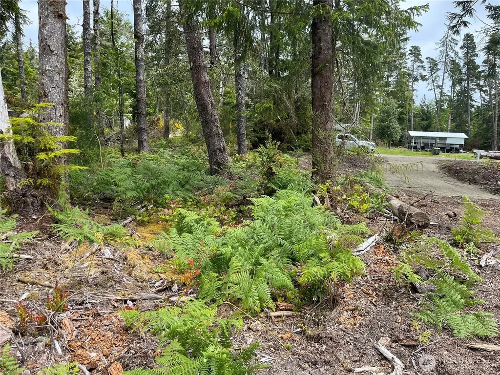 27708 V Street Ocean Park WA 98640