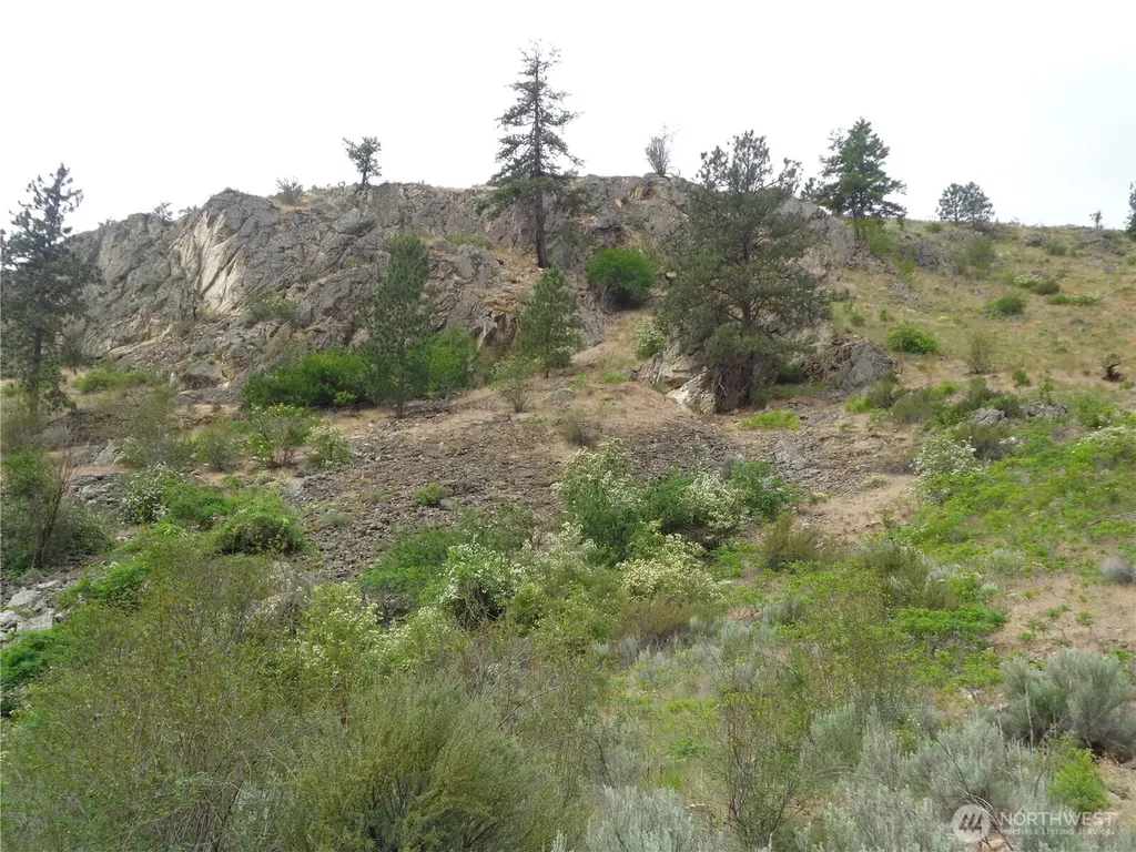 251 Spring Coulee Road Okanogan WA 98840