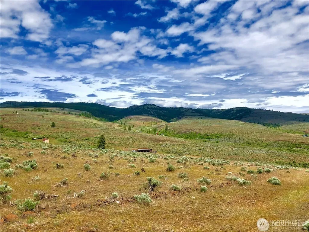 1 Colockum Road Ellensburg WA 98926