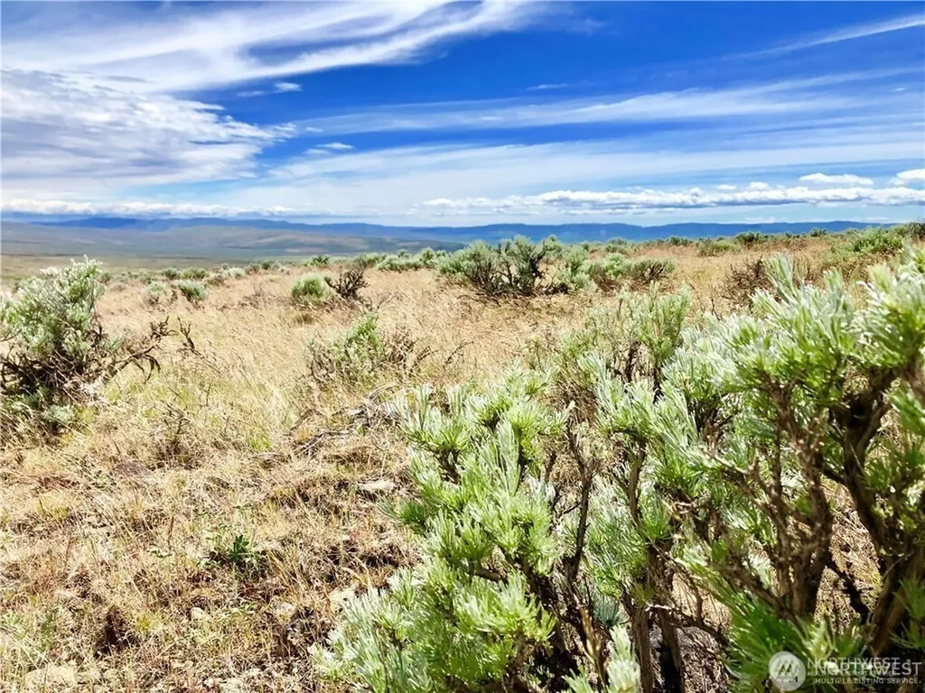 1 Colockum Road Ellensburg WA 98926