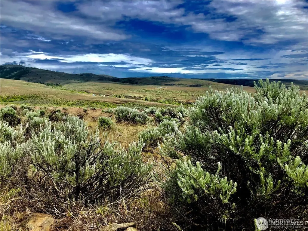 1 Colockum Road Ellensburg WA 98926