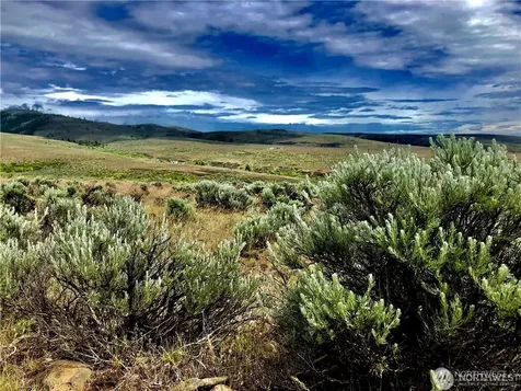1 Colockum Road Ellensburg WA 98926