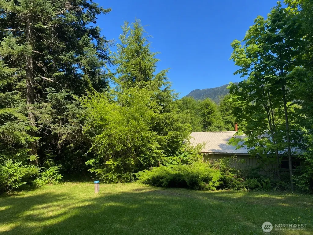 118 Dodge Road Morton WA 98356