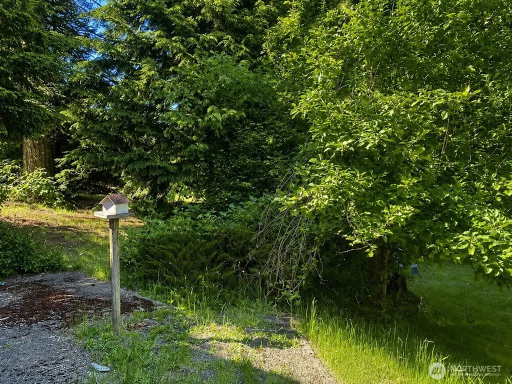 118 Dodge Road Morton WA 98356