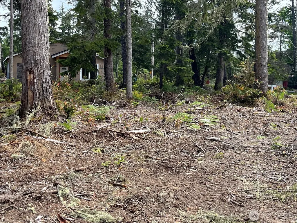 27706 V Street Ocean Park WA 98640