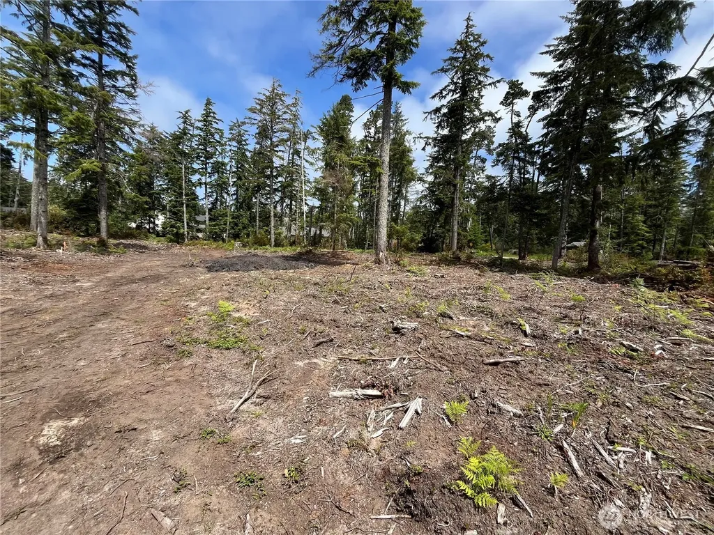 27706 V Street Ocean Park WA 98640