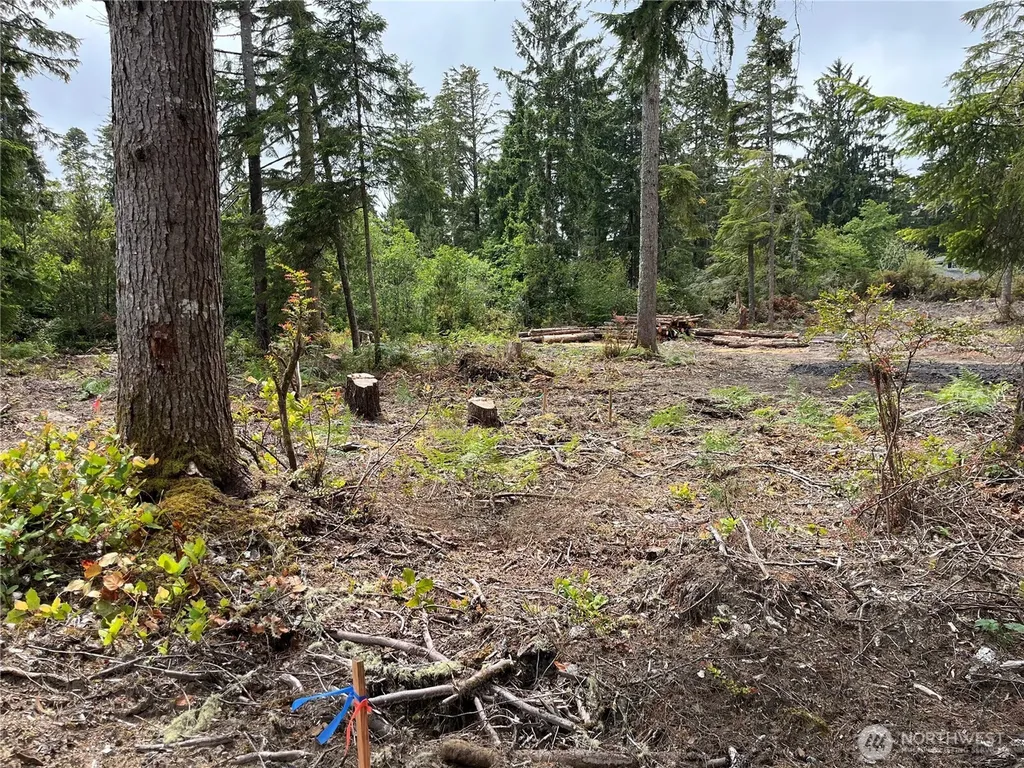 27706 V Street Ocean Park WA 98640