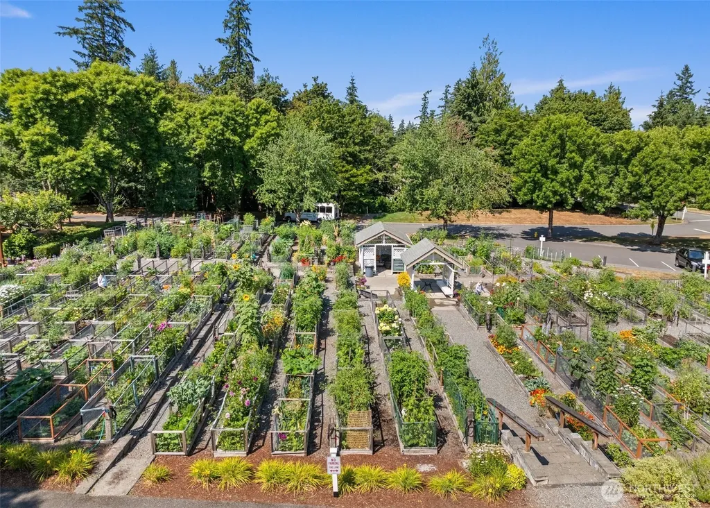 3638 224th Place SE Issaquah WA 98029