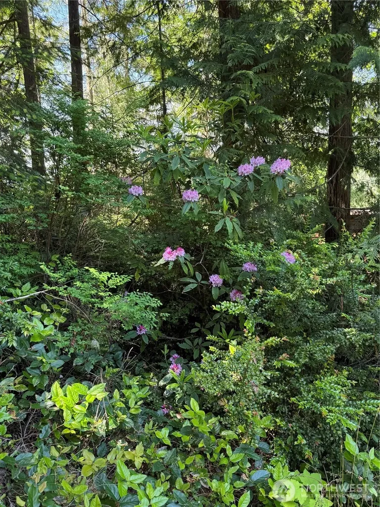 0 Azalea Lane Brinnon WA 98320