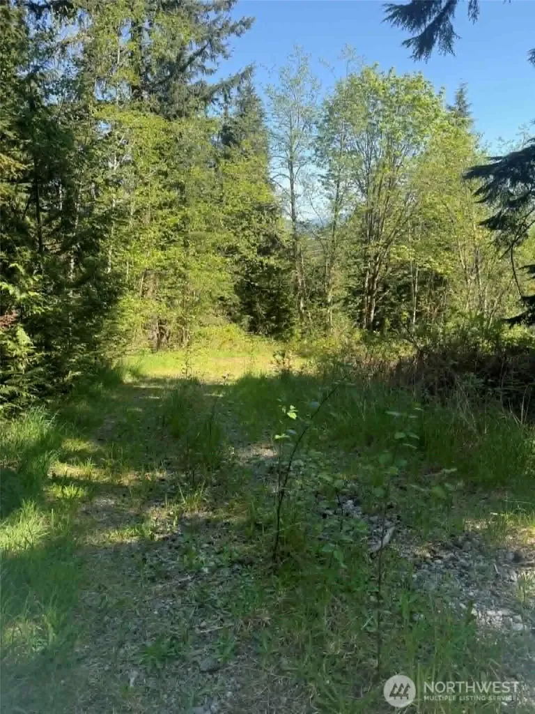 32933 SE Kent Kangley Road Ravensdale WA 98051