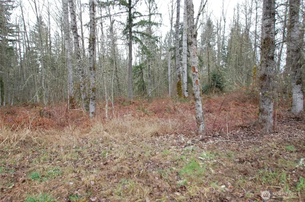 31809 116th Avenue E Graham WA 98338