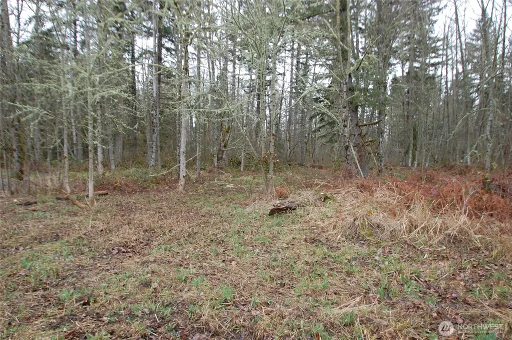 31809 116th Avenue E Graham WA 98338