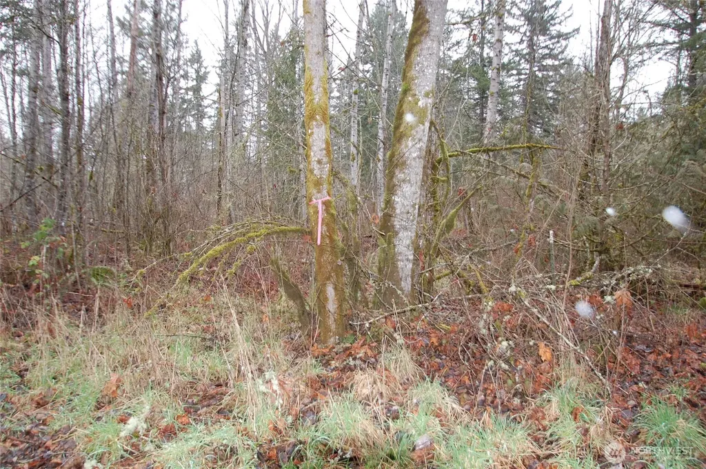 31809 116th Avenue E Graham WA 98338