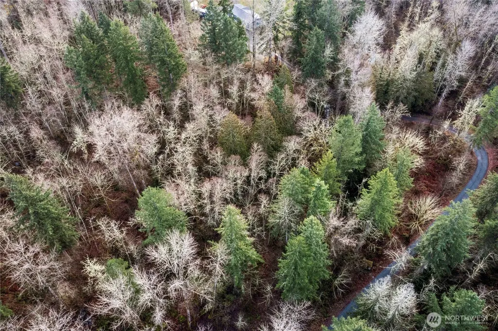 31809 116th Avenue E Graham WA 98338