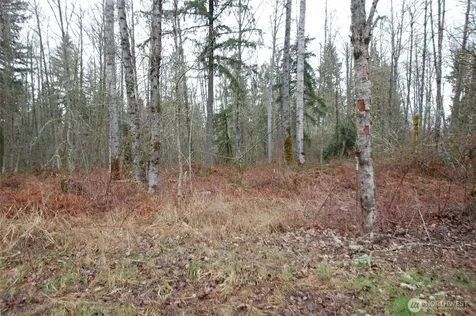 31809 116th Avenue E Graham WA 98338
