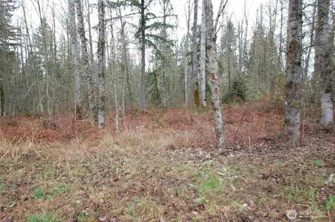 31809 116th Avenue E Graham WA 98338