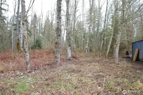 31809 116th Avenue E Graham WA 98338