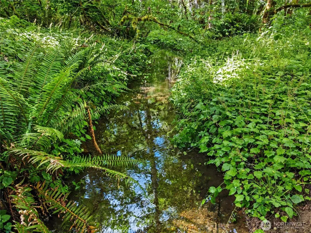 0 Wildwood Road Quilcene WA 98376