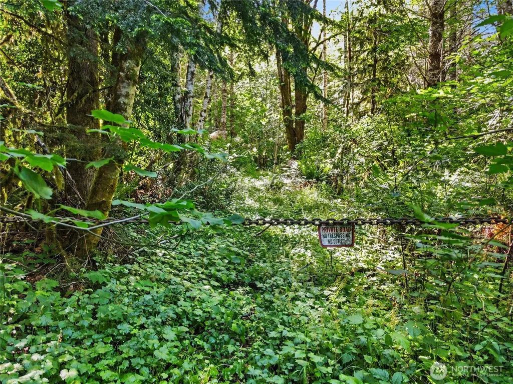 0 Wildwood Road Quilcene WA 98376