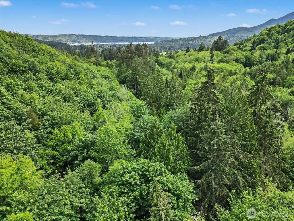 0 Wildwood Road Quilcene WA 98376
