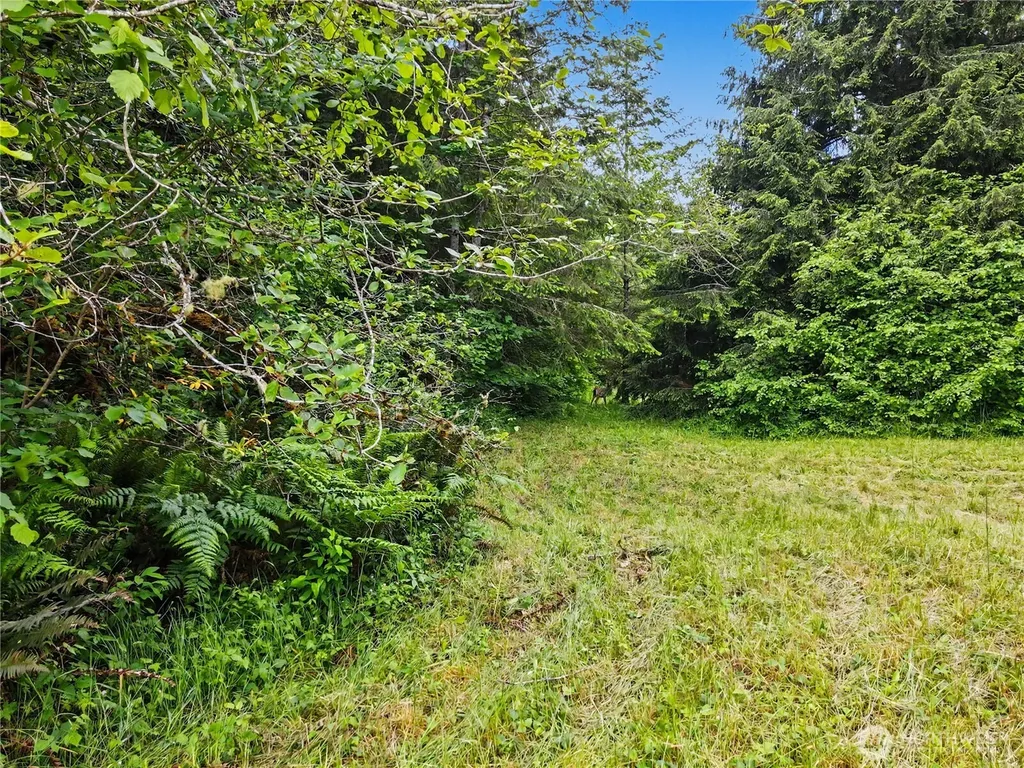0 Wildwood Road Quilcene WA 98376