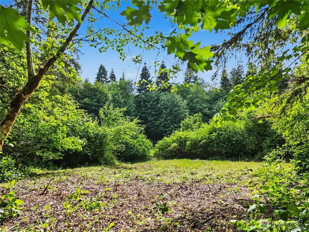 0 Wildwood Road Quilcene WA 98376