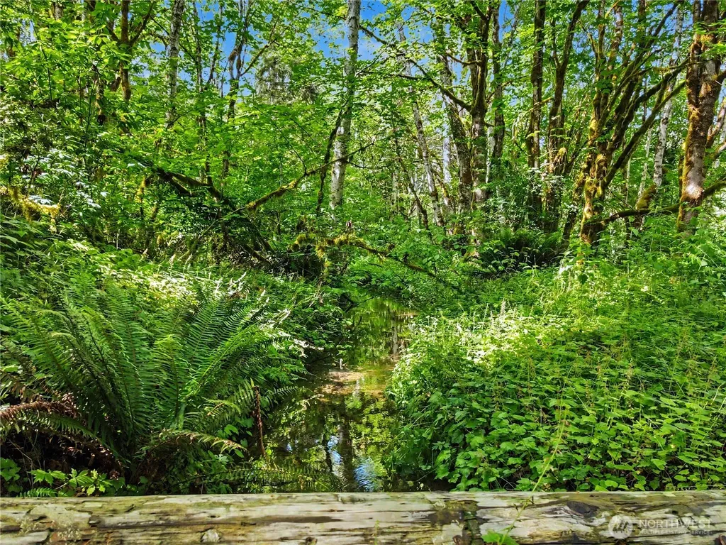 0 Wildwood Road Quilcene WA 98376