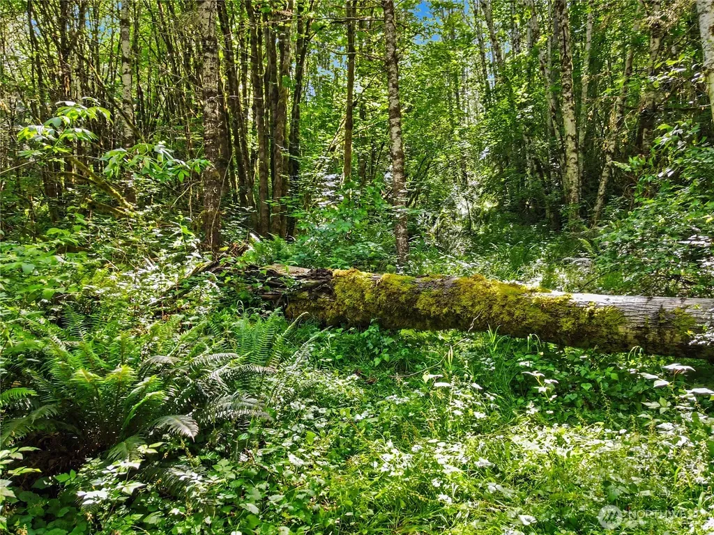 0 Wildwood Road Quilcene WA 98376