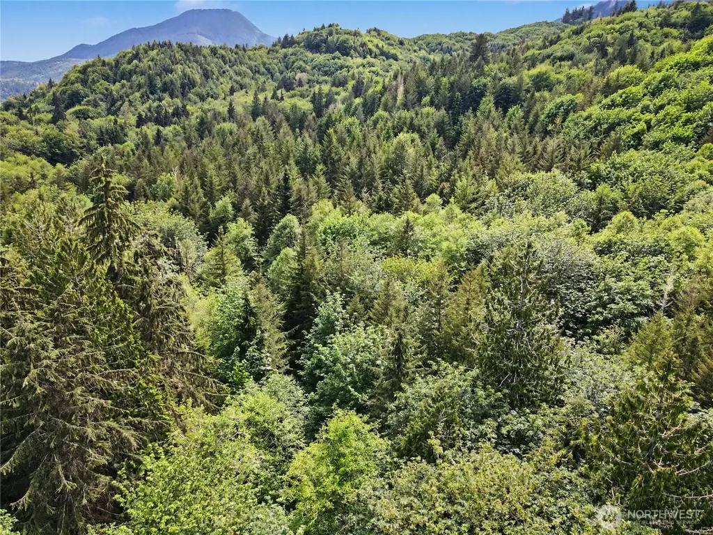 0 Wildwood Road Quilcene WA 98376