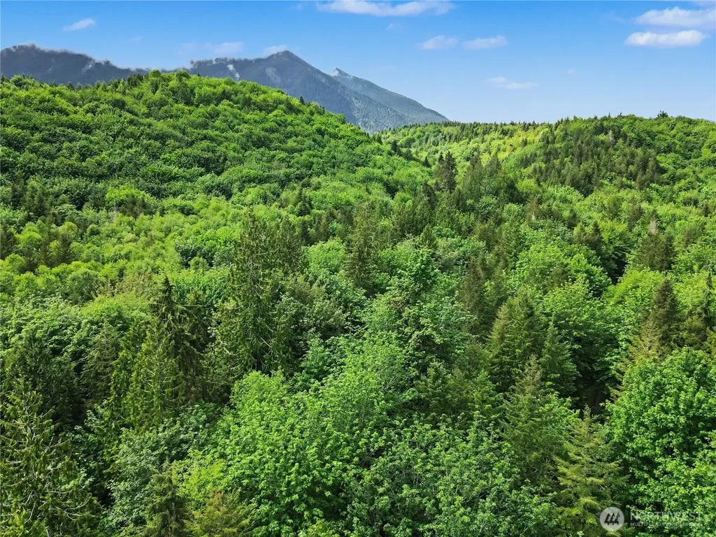 0 Wildwood Road Quilcene WA 98376