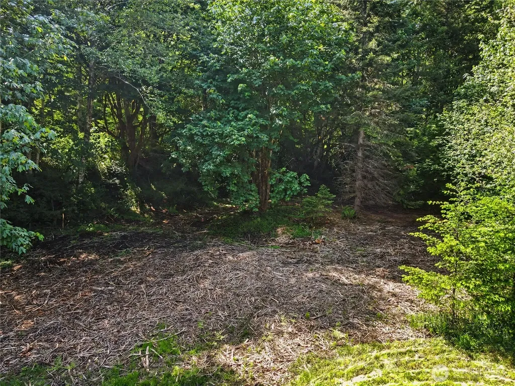 0 Wildwood Road Quilcene WA 98376