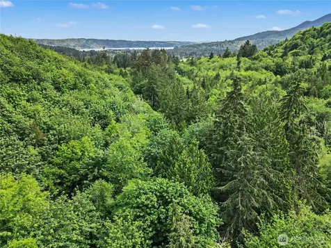 0 Wildwood Road Quilcene WA 98376