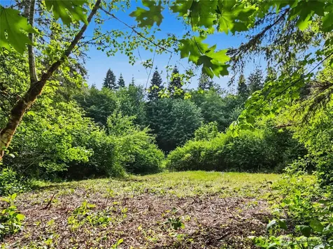 0 Wildwood Road Quilcene WA 98376