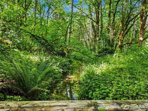 0 Wildwood Road Quilcene WA 98376