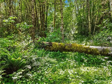 0 Wildwood Road Quilcene WA 98376