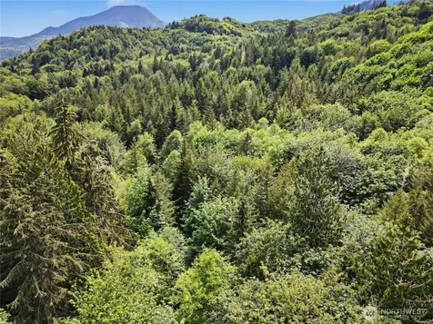 0 Wildwood Road Quilcene WA 98376