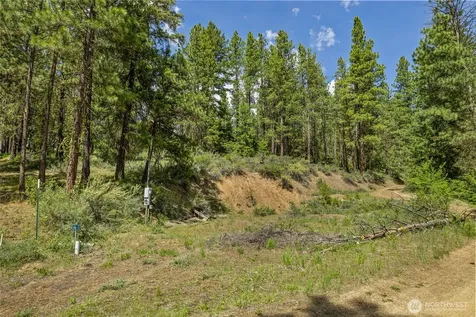 502 Harkness Road Cle Elum WA 98922