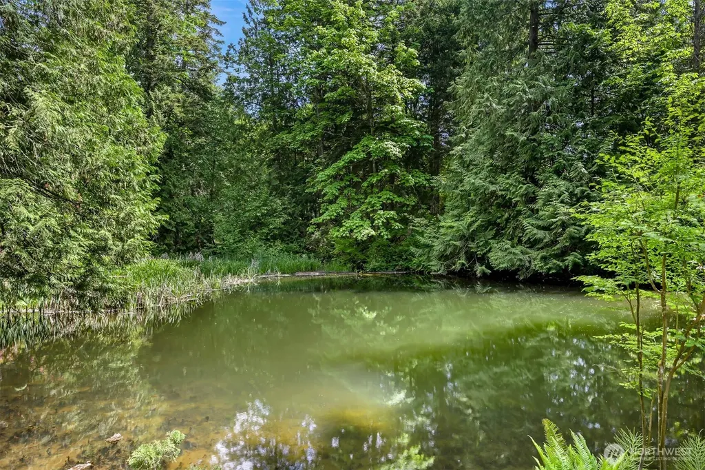3987 Britton Road Bellingham WA 98226